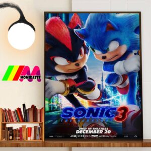 Sonic The Hedgehog 3 Official New Poster Only In Theatres December 20th 2024 Wall Art Poster Canvas